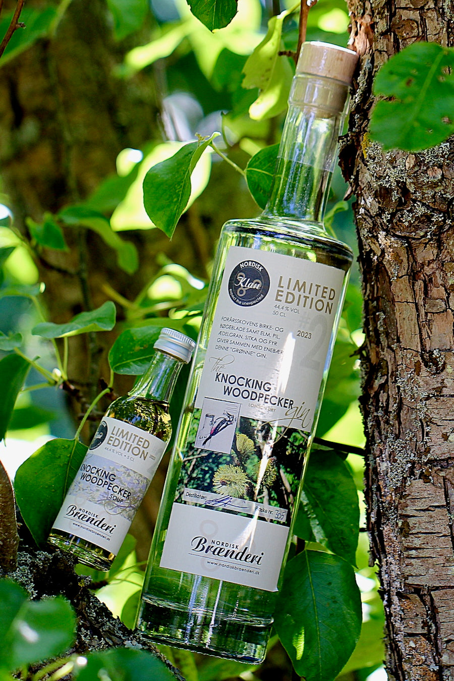 The Knocking Woodpecker Gin, inspireret af spættens hjem i den nyudsprungne forårsskov🌳